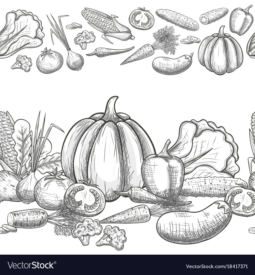 Seamless borders of vegetables Royalty Free Vector Image