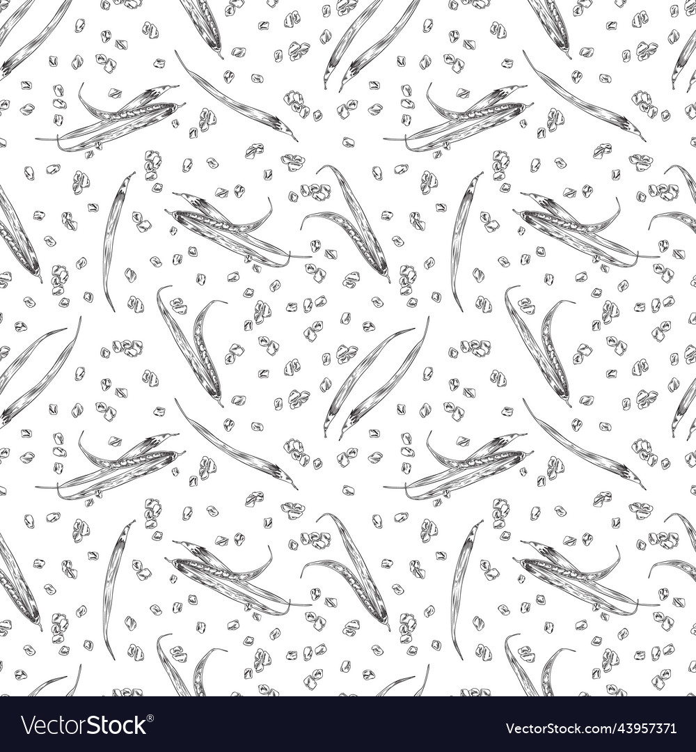 Seamless pattern with hand drawn fenugreek pods