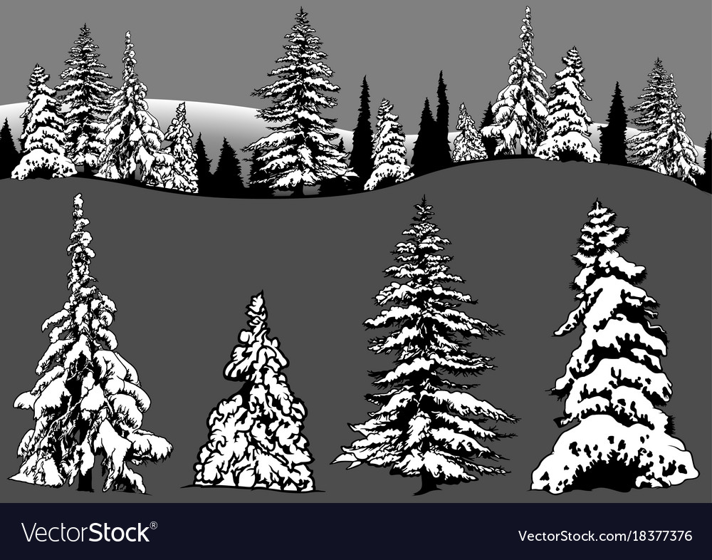 Snowy Conifer Christmas Set