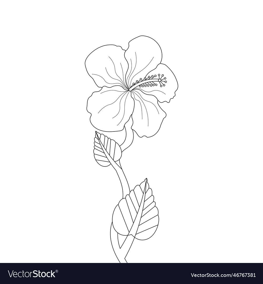 Flower coloring page and book Royalty Free Vector Image