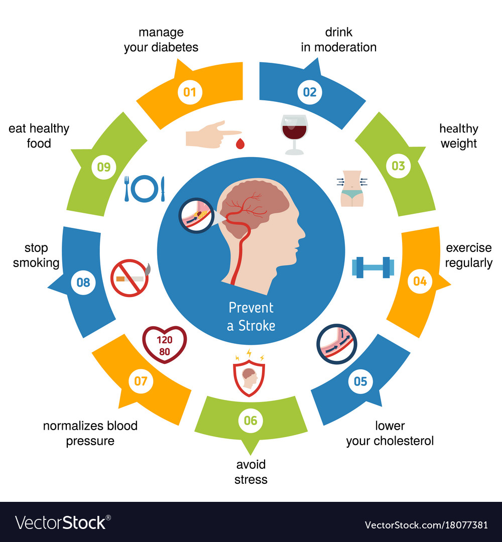 Infographics for stroke infographics for stroke Vector Image