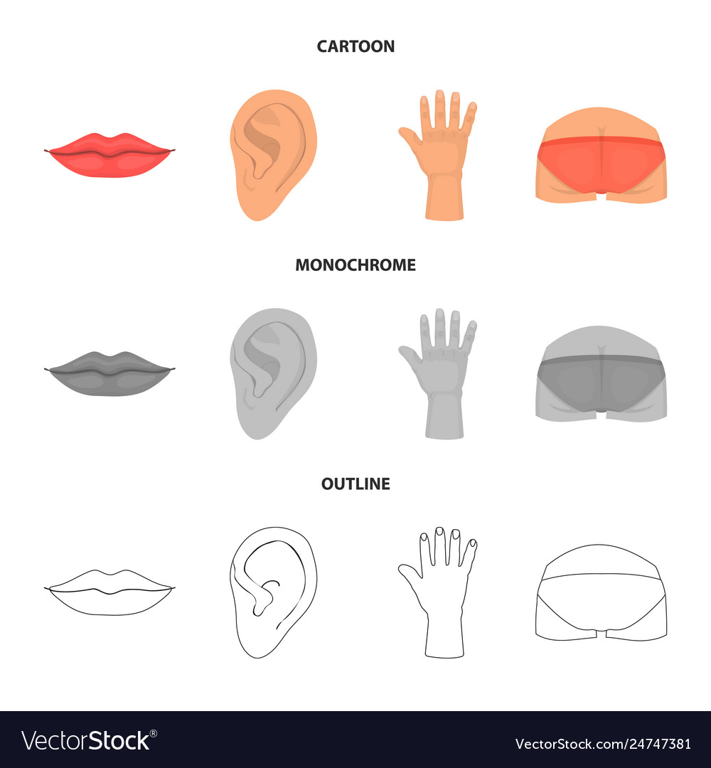 Isolated object body and part sign collection vector image Isolated object body and part sign collection