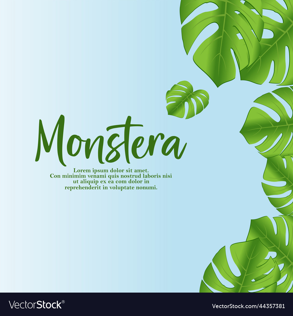 Monstera Blattrahmen Design