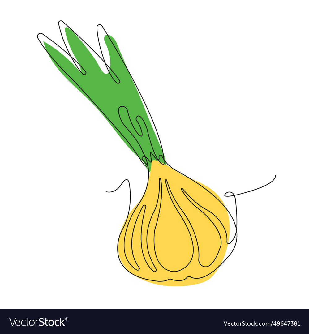 Onion in continuous line art drawing style vector image Onion in continuous line art drawing style