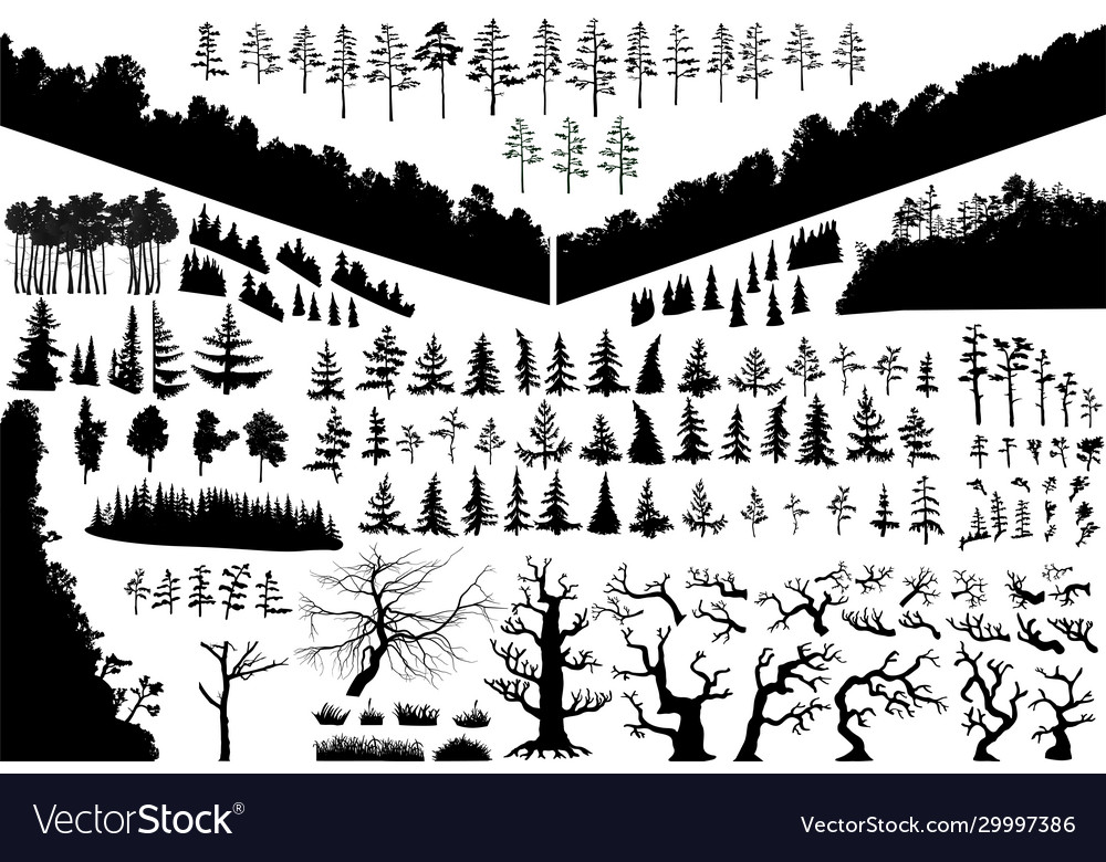 Biggest isolated trees set wich can vector image Biggest isolated trees set wich can