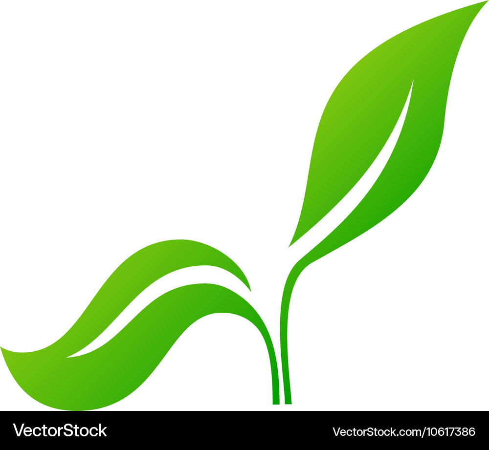 Leaf icon Royalty Free Vector Image - VectorStock