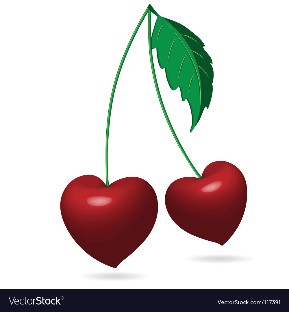 Cherry Royalty Free Vector Image - VectorStock