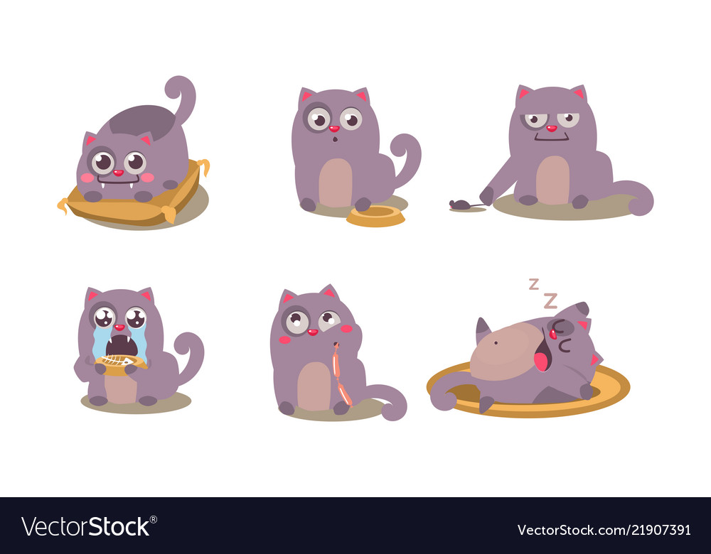 Cute grey cat set funny animal character in Vector Image