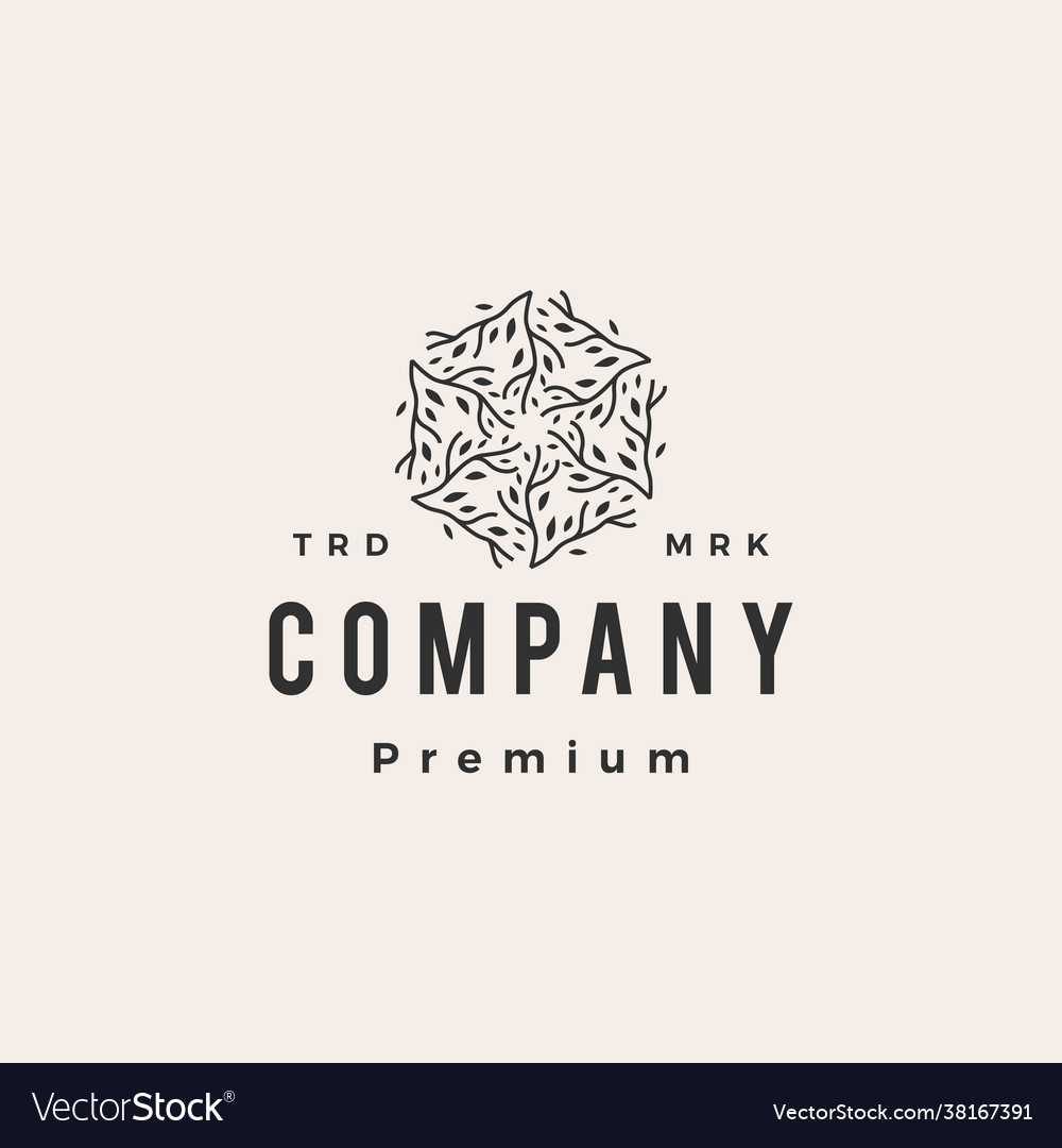 Tree branch cube box hexagonal hipster vintage vector image Tree branch cube box hexagonal hipster vintage
