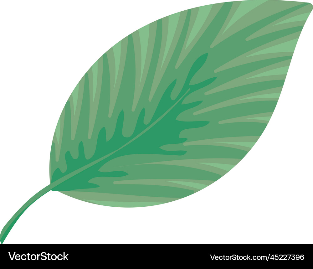 Leaf nature icon Royalty Free Vector Image - VectorStock
