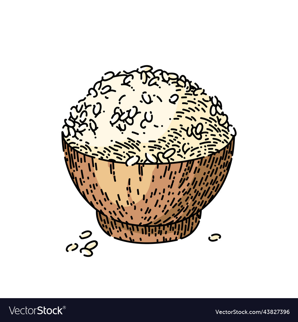 Rice bowl sketch hand drawn Royalty Free Vector Image