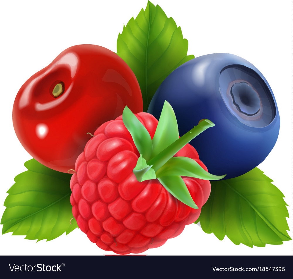 Ripe berries raspberry blueberries and cherry Vector Image