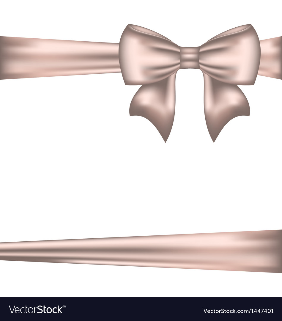 Eleganter Bogen für Verpackung Geschenk