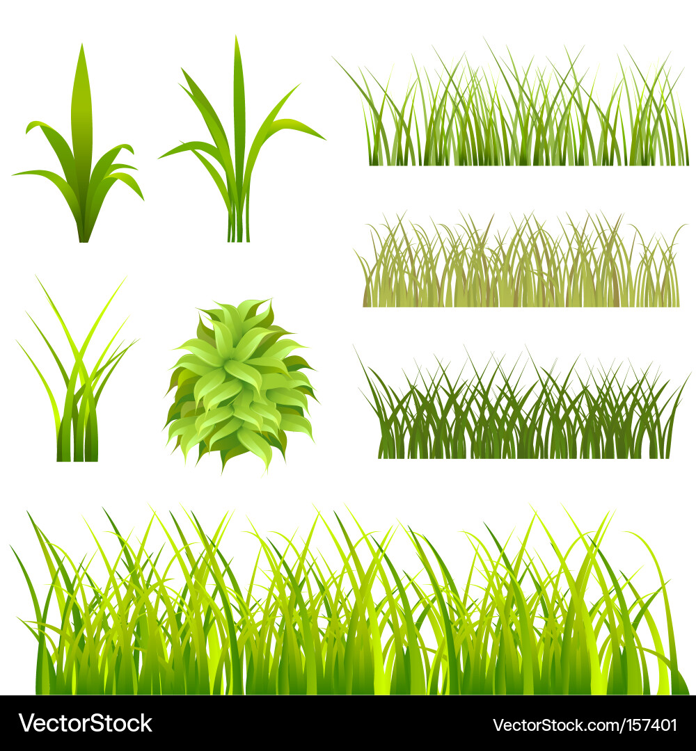 Grass Royalty Free Vector Image Vectorstock