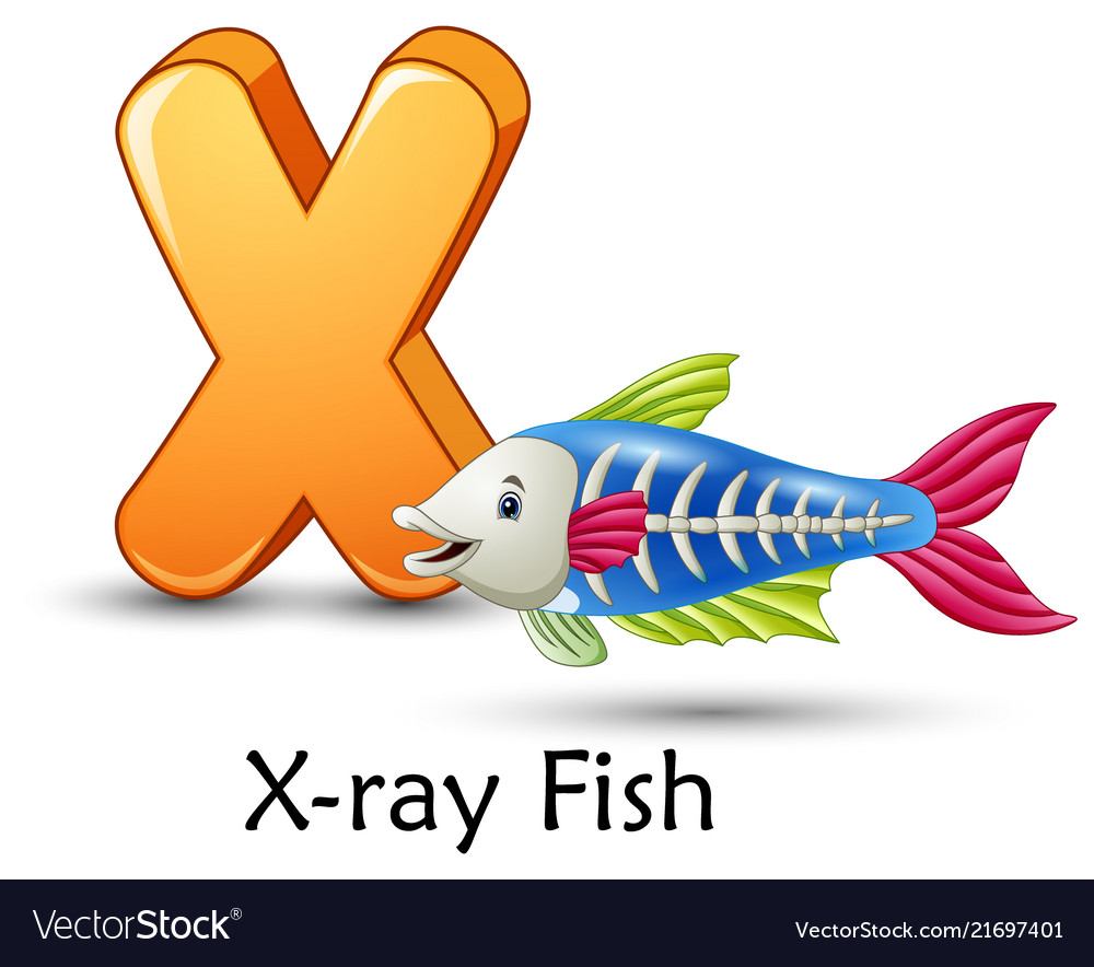 X Ray Fish Cartoon Images ~ Cartoon Fish Ray Character Animal ...