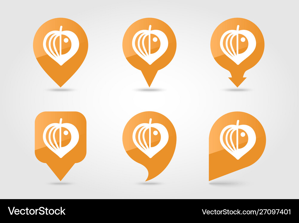 Physalis berries flat pin map icon vegetable Vector Image