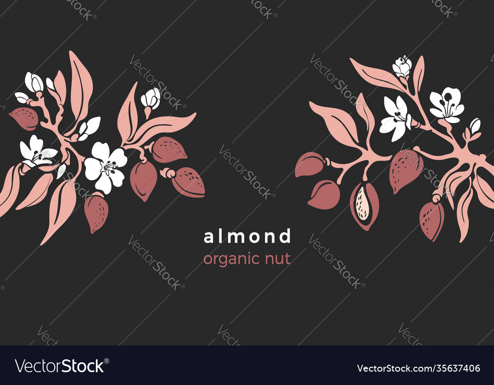 Almond template tree farm plantation