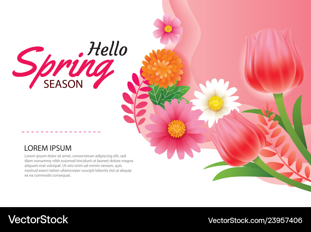Hello spring greeting card and invitation Vector Image