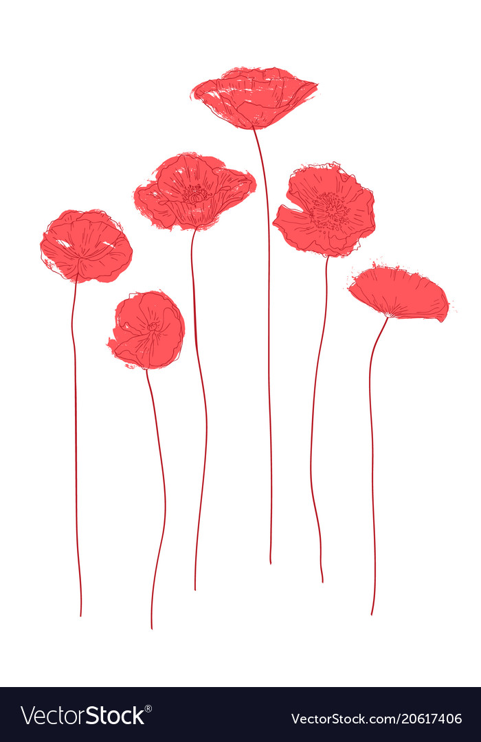 Red Poppies Konzept