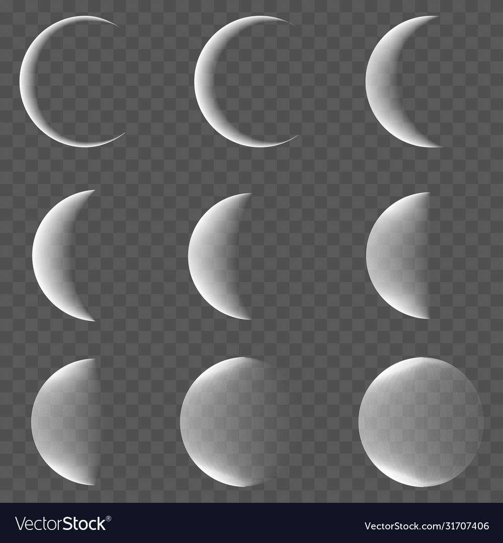 Different Phases Of Moon On Transparent Background Vector Stock