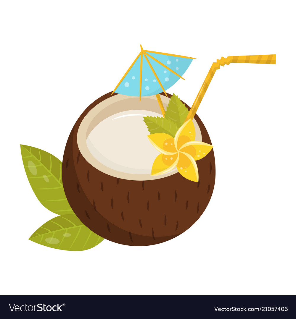 Tropical cocktail in coconut shell with small