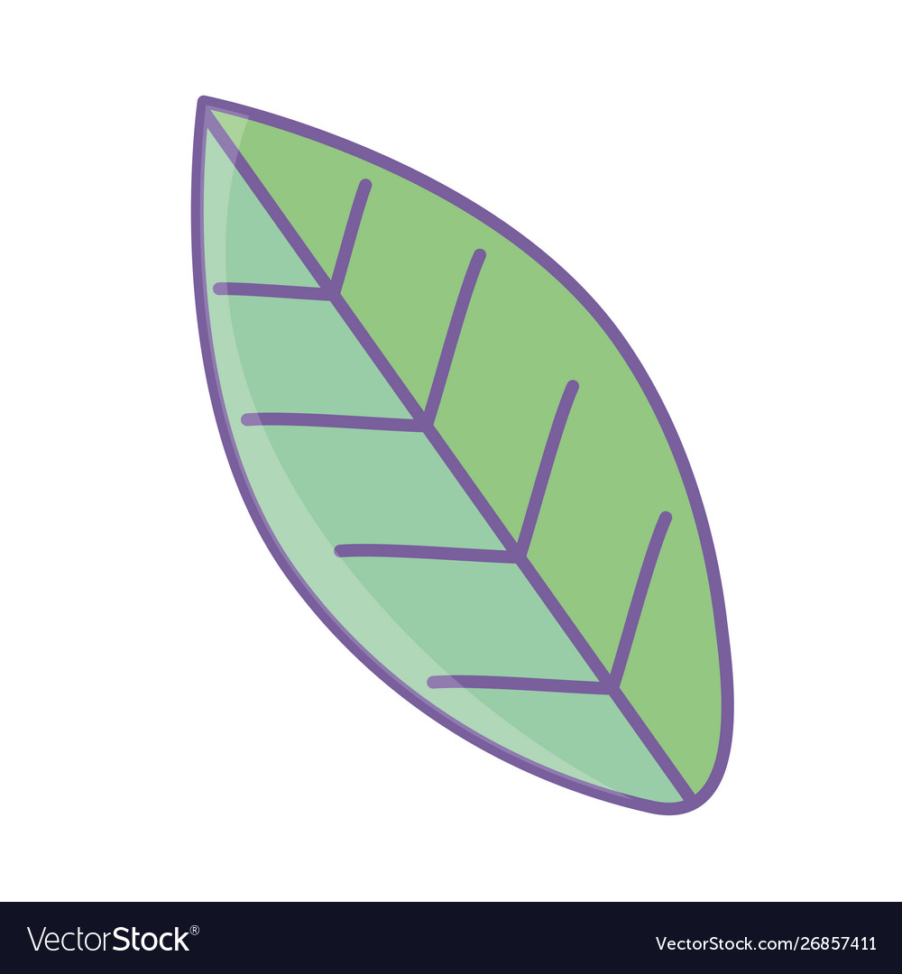 Isolated leaf design Royalty Free Vector Image