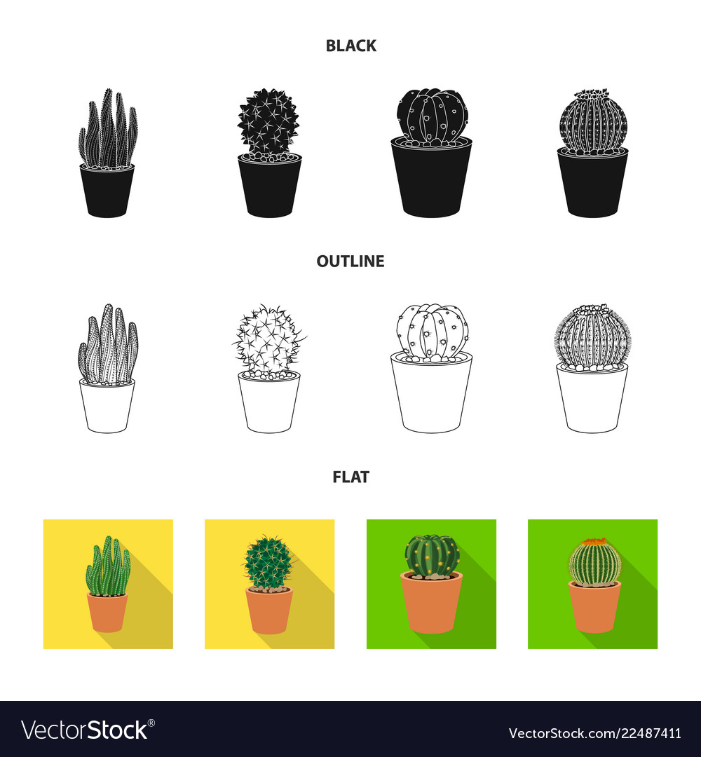 Isolated object of cactus and pot symbol