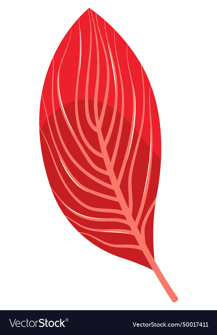 Red leaf detailed with vein patterns