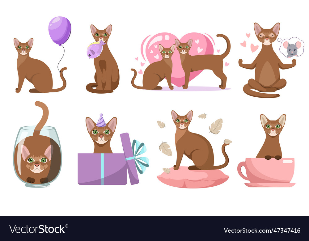 Abyssinian cats Royalty Free Vector Image - VectorStock