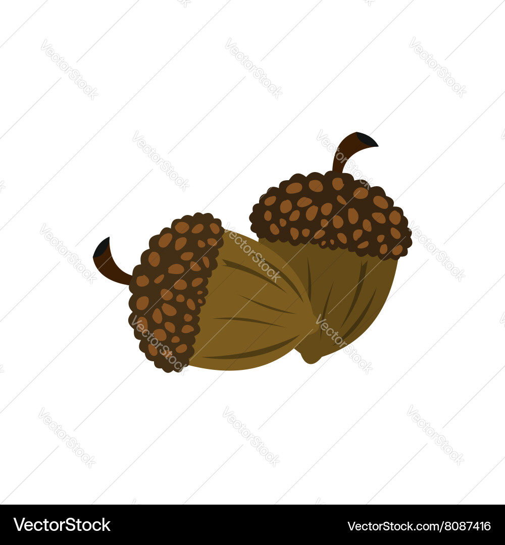 Acorn icon flat Royalty Free Vector Image - VectorStock