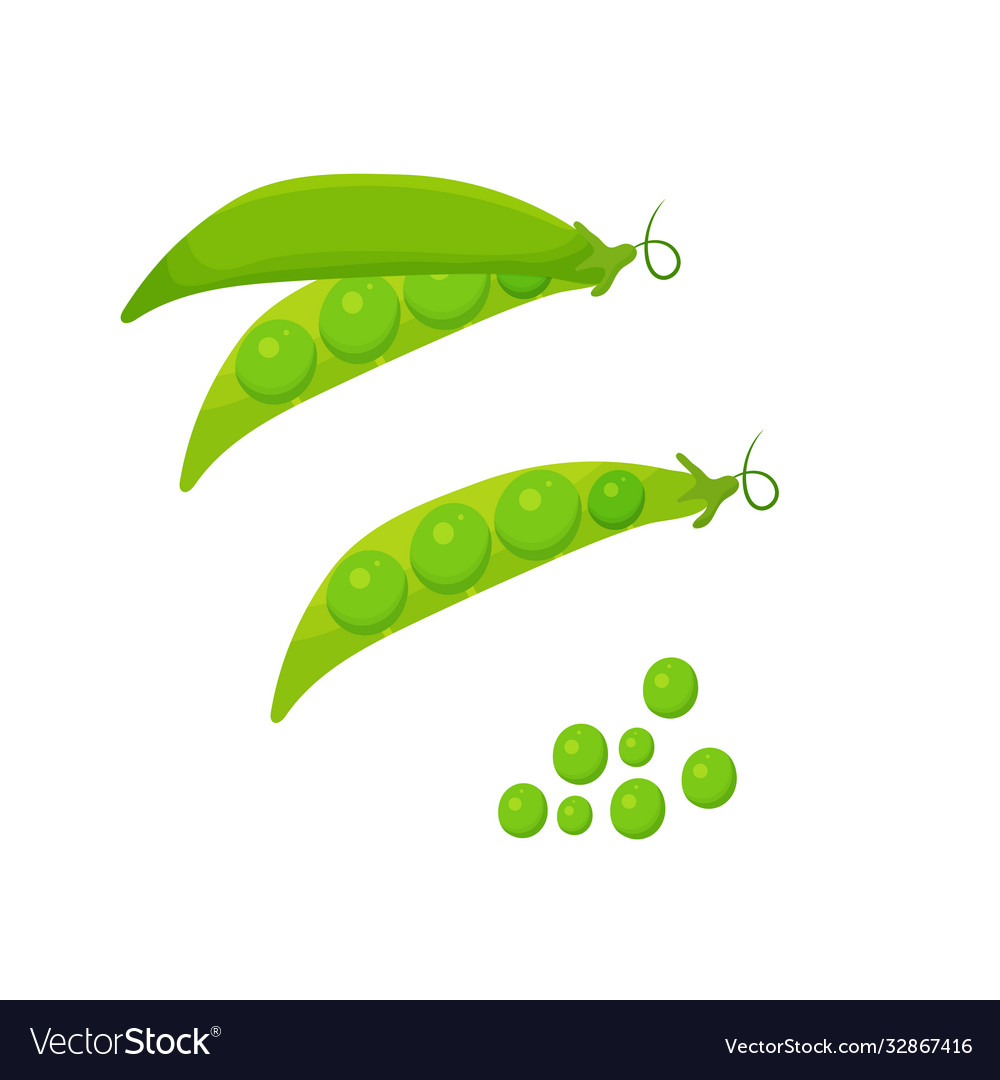Set green peas isolated on white background Vector Image