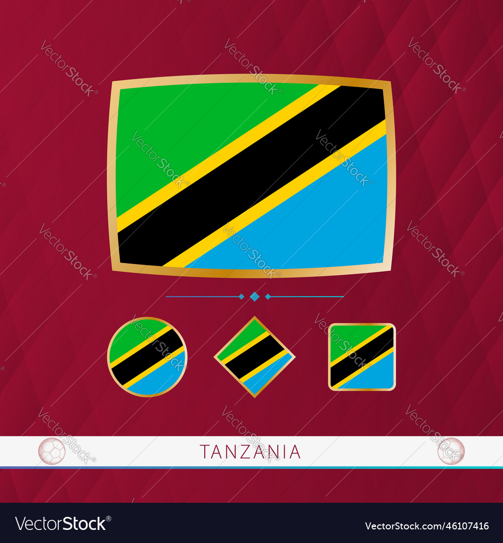 Set of tanzania flags with gold frame for use