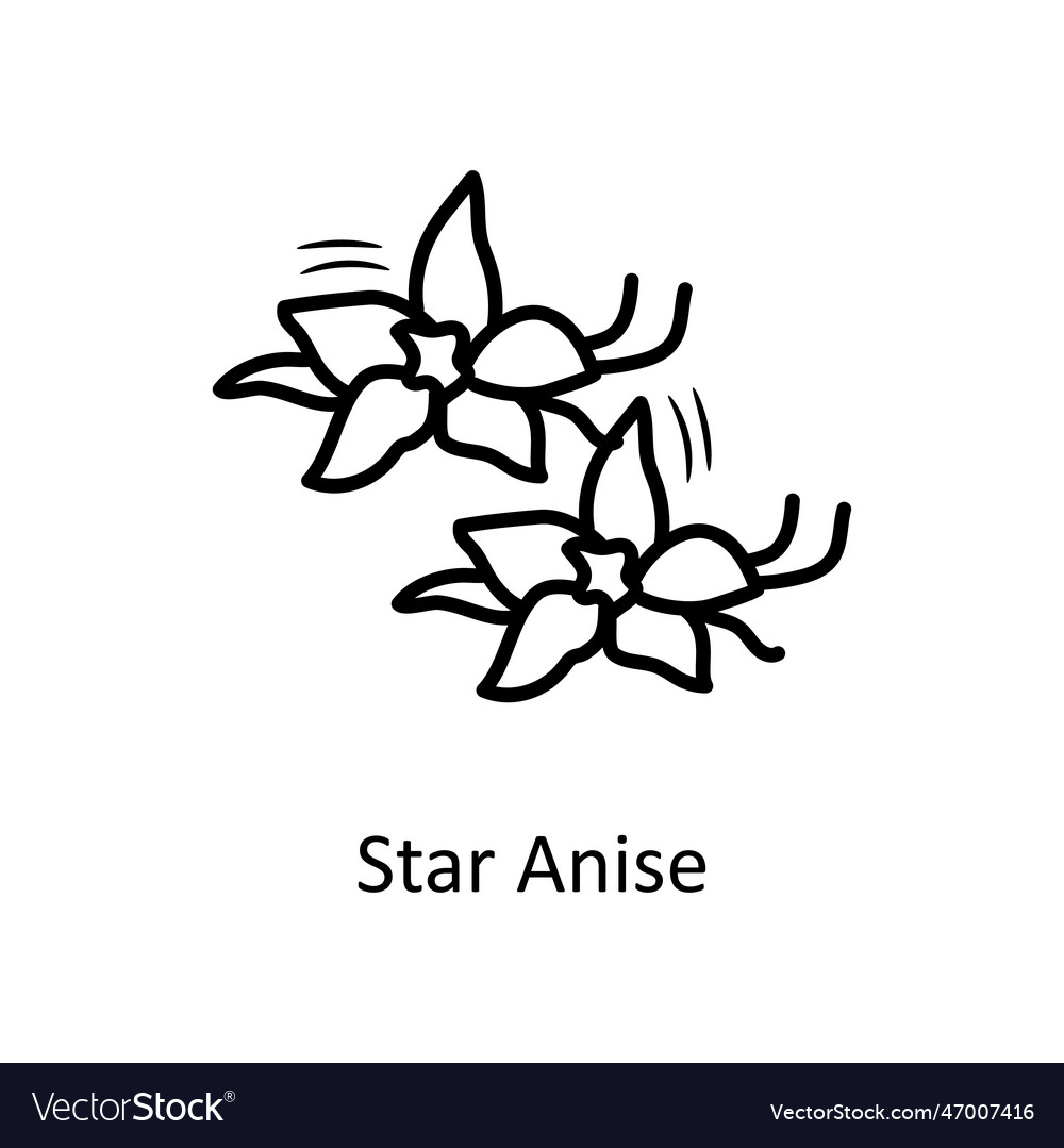 Star anise outline icon design Royalty Free Vector Image