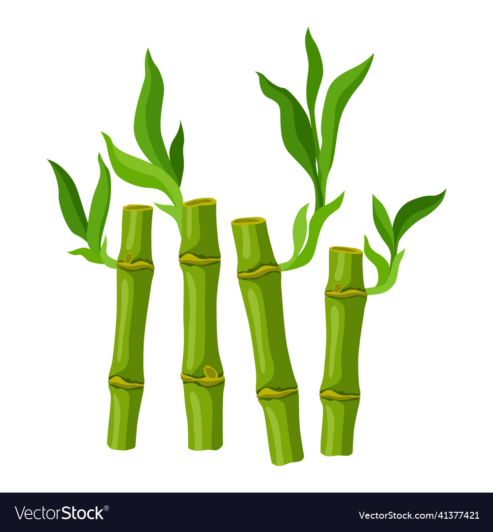 Green bamboo stems and leaves Royalty Free Vector Image