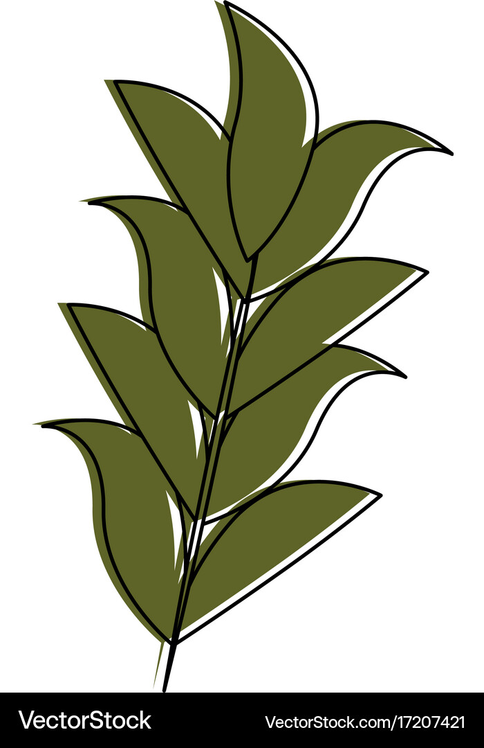 Leaf plant decorative icon Royalty Free Vector Image