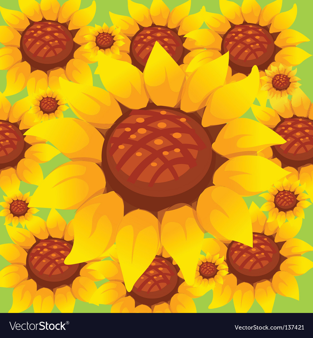 Sunflower pattern