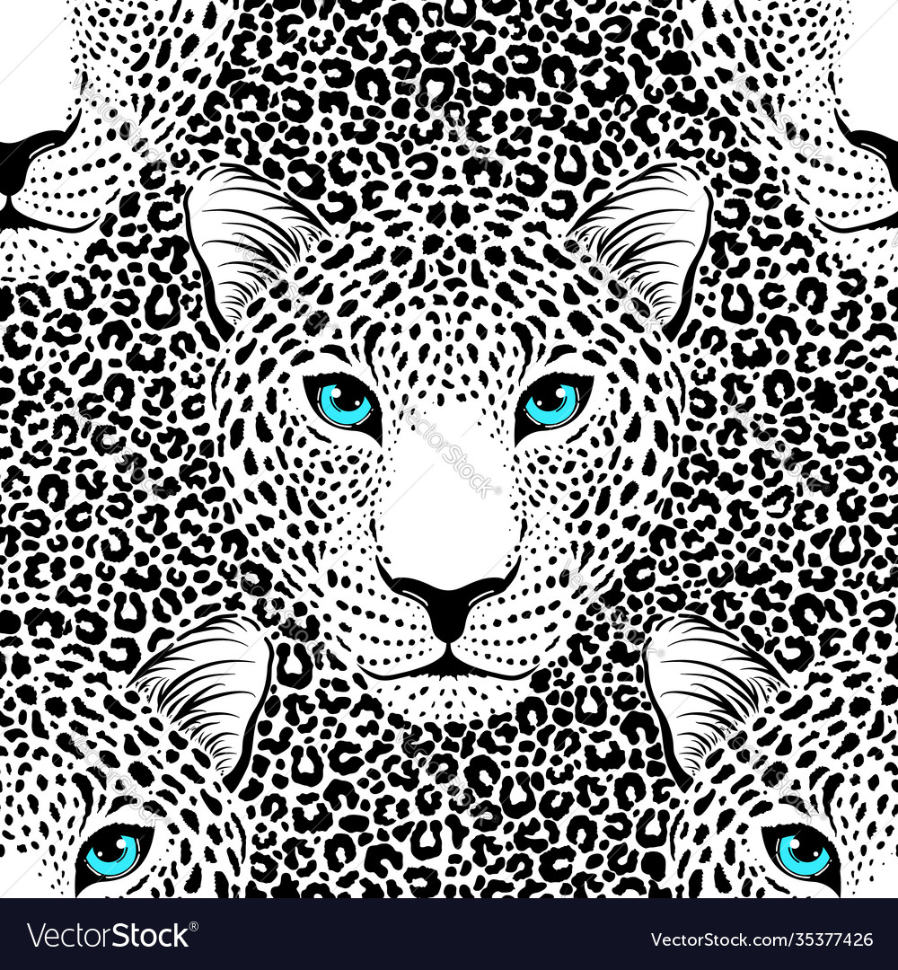 Leopard Muzzle Pattern