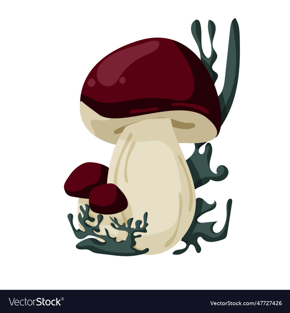 Porcini mushroom in the grass