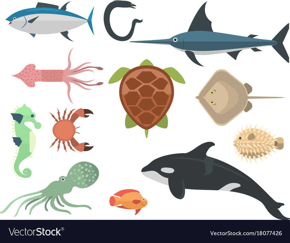 Sea animals creatures characters cartoon Vector Image