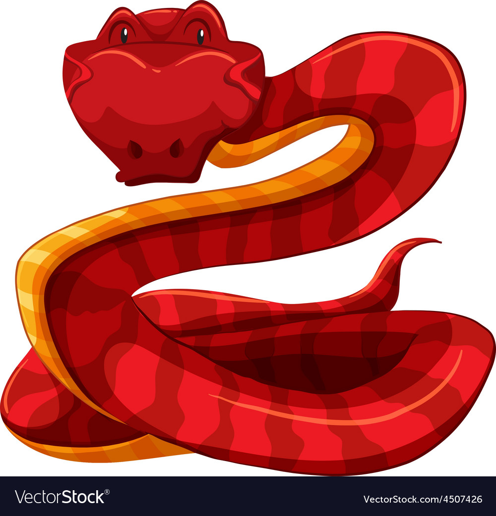 Snake