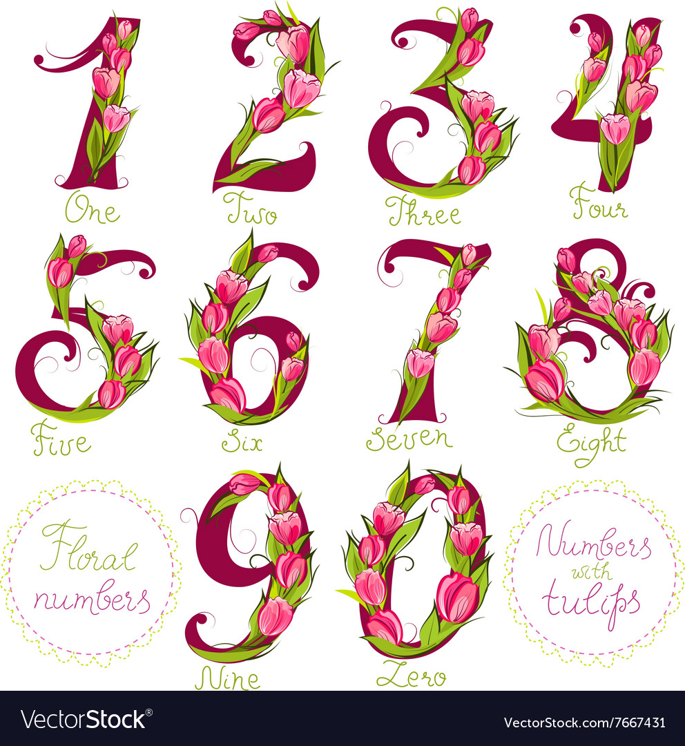 Floral numbers made with tulips Royalty Free Vector Image