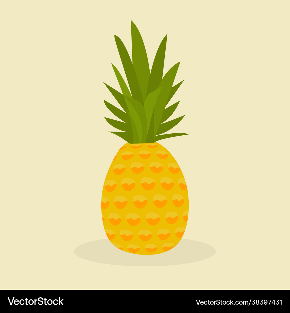 Pineapple fruit Royalty Free Vector Image - VectorStock