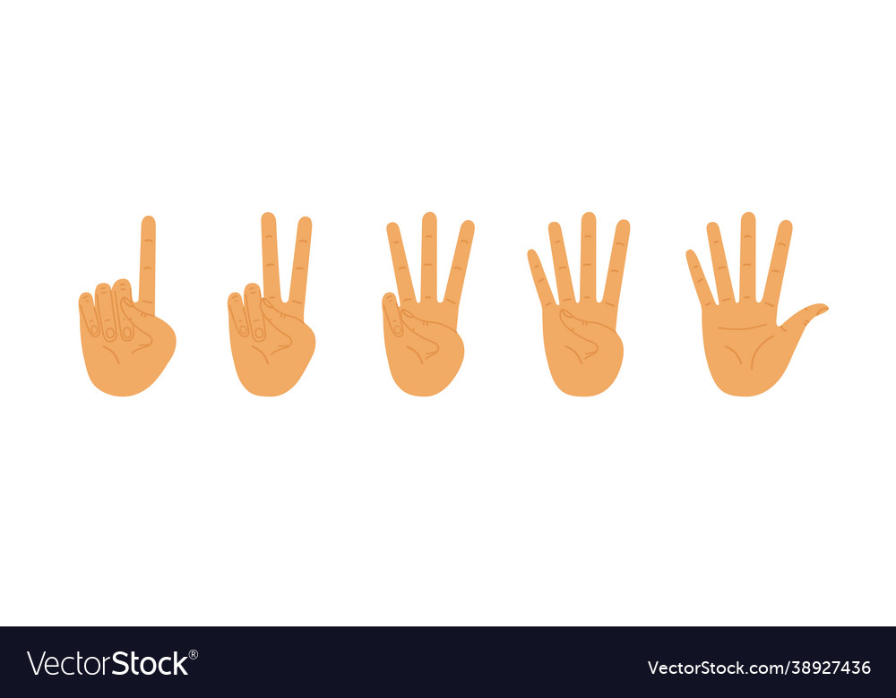 Palms count from one to five counting hands hand vector image Palms count from one to five counting hands hand