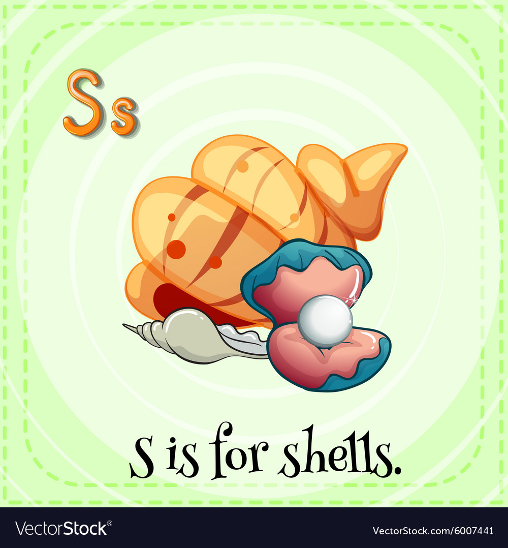 Flashcard letter s is for shells Royalty Free Vector Image