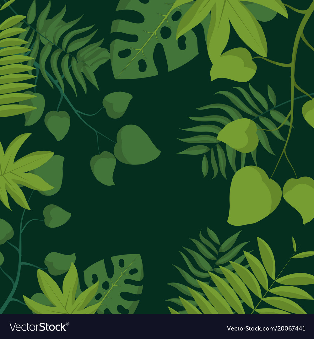 Tropical leaves background Royalty Free Vector Image