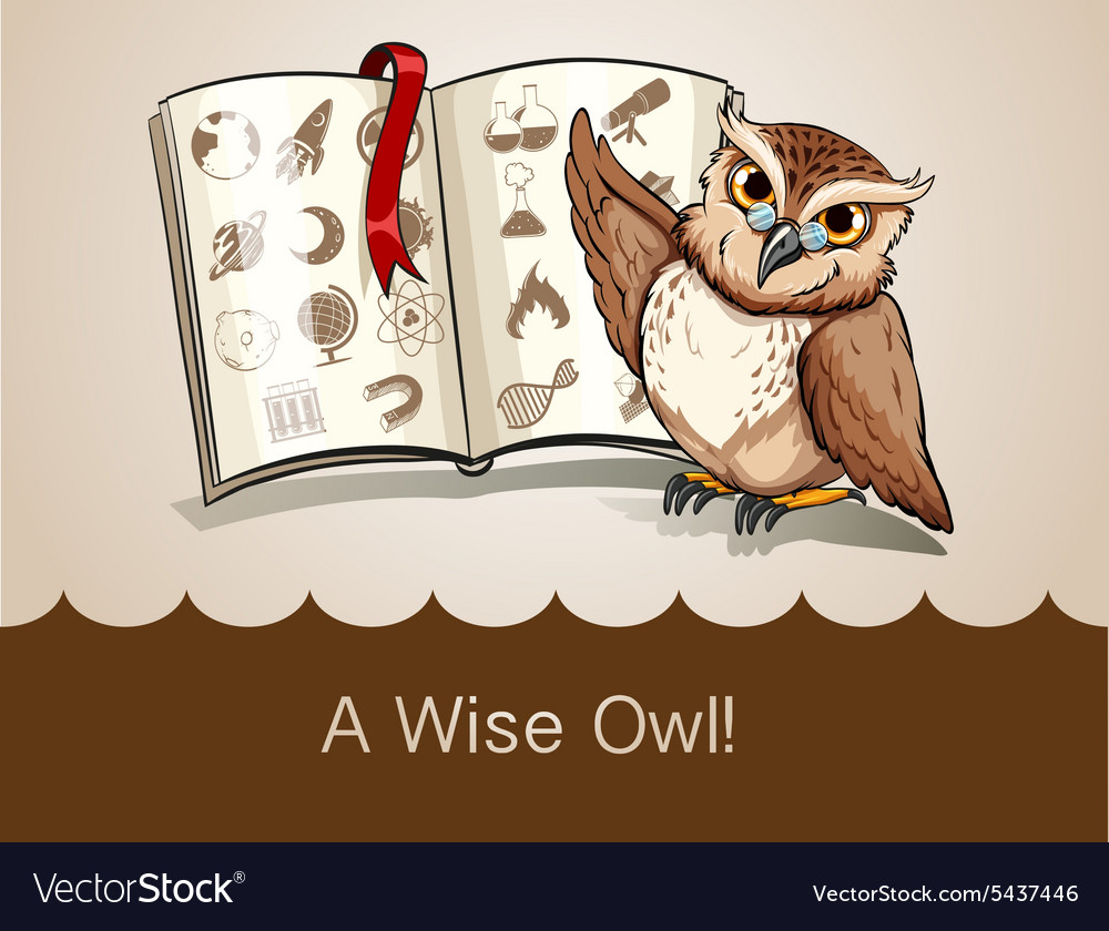 Wise owl und Wissenschaftsbuch