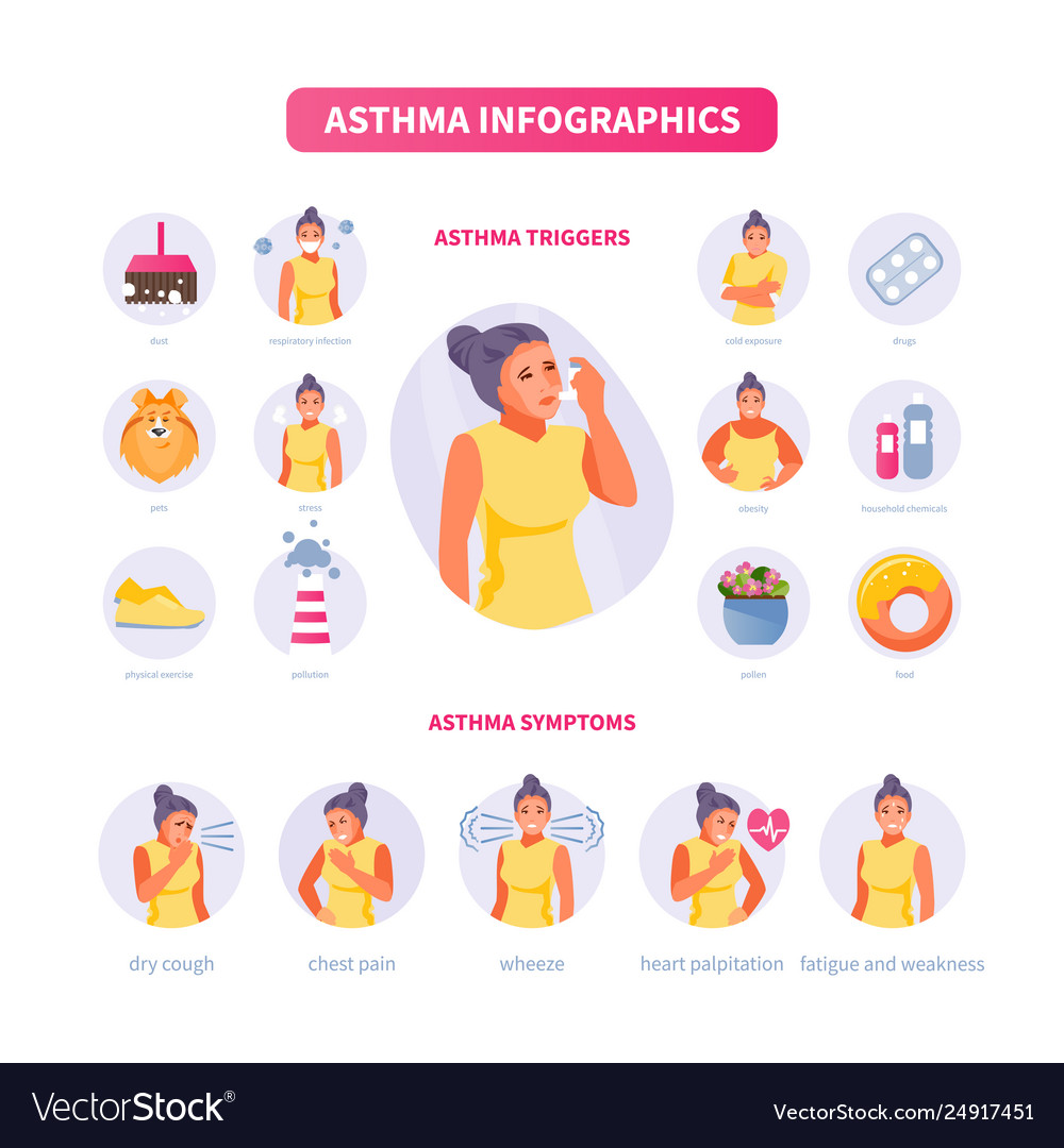 Asthma Infographics Royalty Free Vector Image - VectorStock