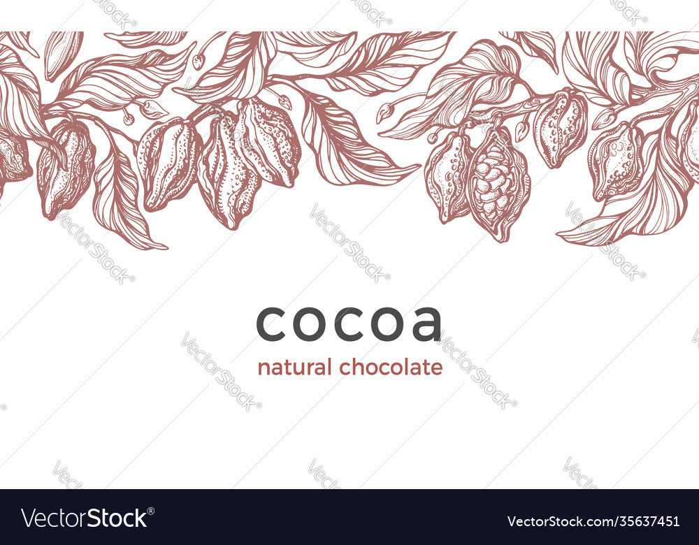 Cocoa harvest background art drawn card