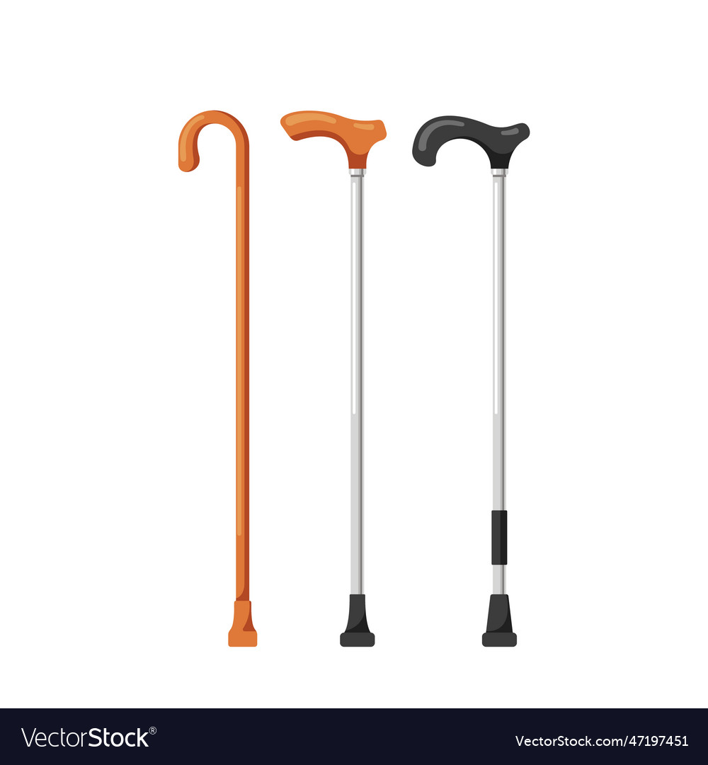 Elegant collection of walking canes for stability