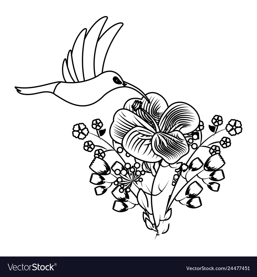 Hummingbird bird flower tropical Royalty Free Vector Image